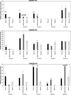 Fibroblast growth factor receptor inhibitors mitigate the neuropathogenicity of Borrelia burgdorferi or its remnants ex vivo